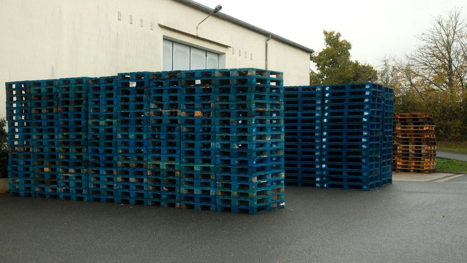 Massive stack of blue wooden pallets outside a building, ready for transport.