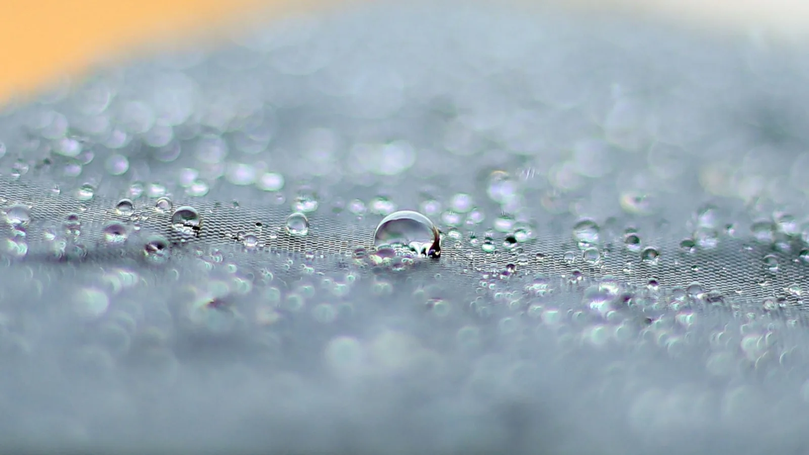 Close-up of dew droplets on a textured surface, glistening in natural light.